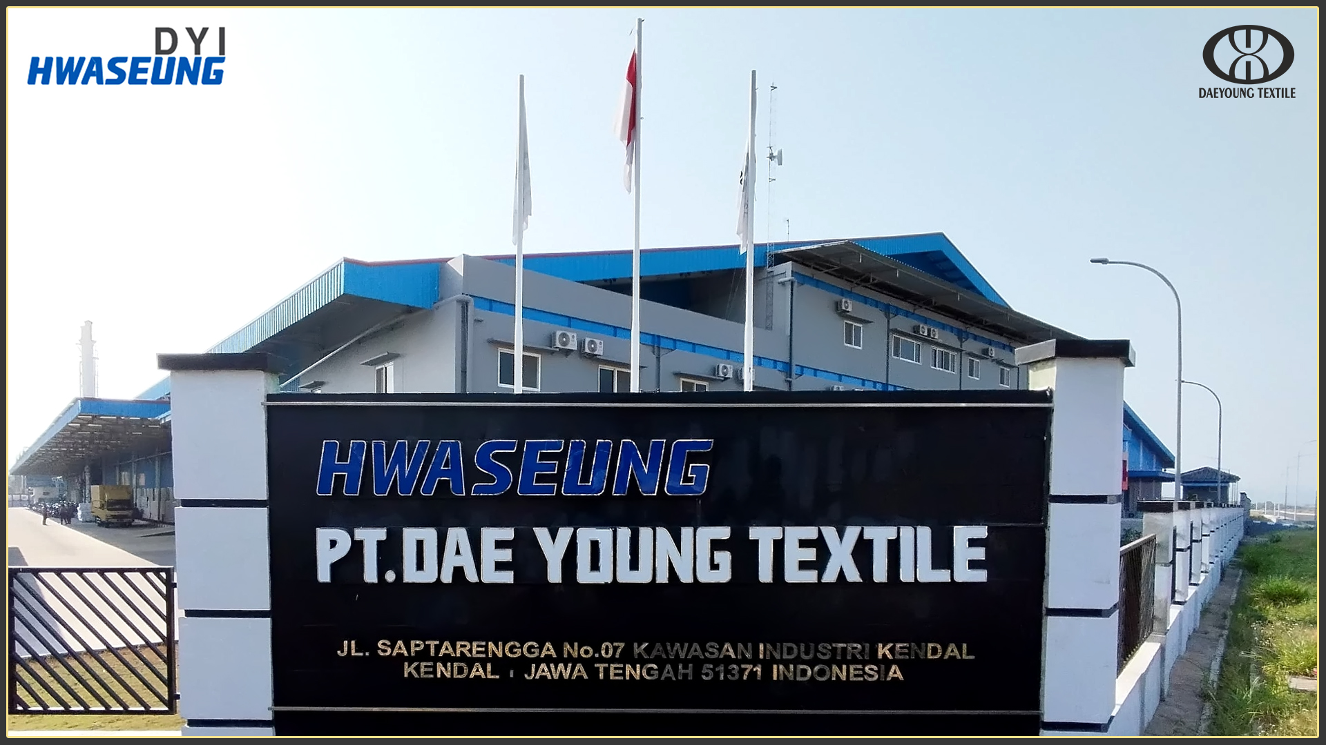 Logo DYT